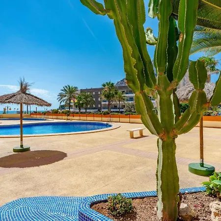 Zafiro 26c - Grupo Turis Calpe