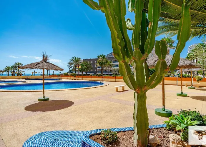 Zafiro 26c - Grupo Turis Calp