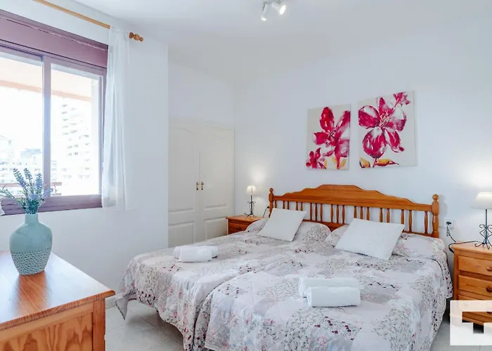 Zafiro 26c - Grupo Turis *